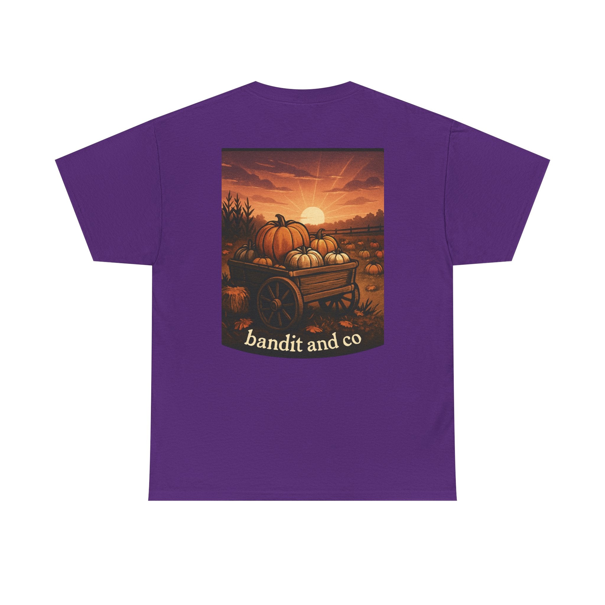 Bandit & Co. Unisex Heavy Cotton Tee, Casual Style, Graphic T-Shirt, Gift for Collectors, Everyday Wear, Cool Streetwear